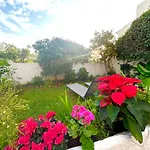 Hibisco 69 - San Juan De Capistrano
