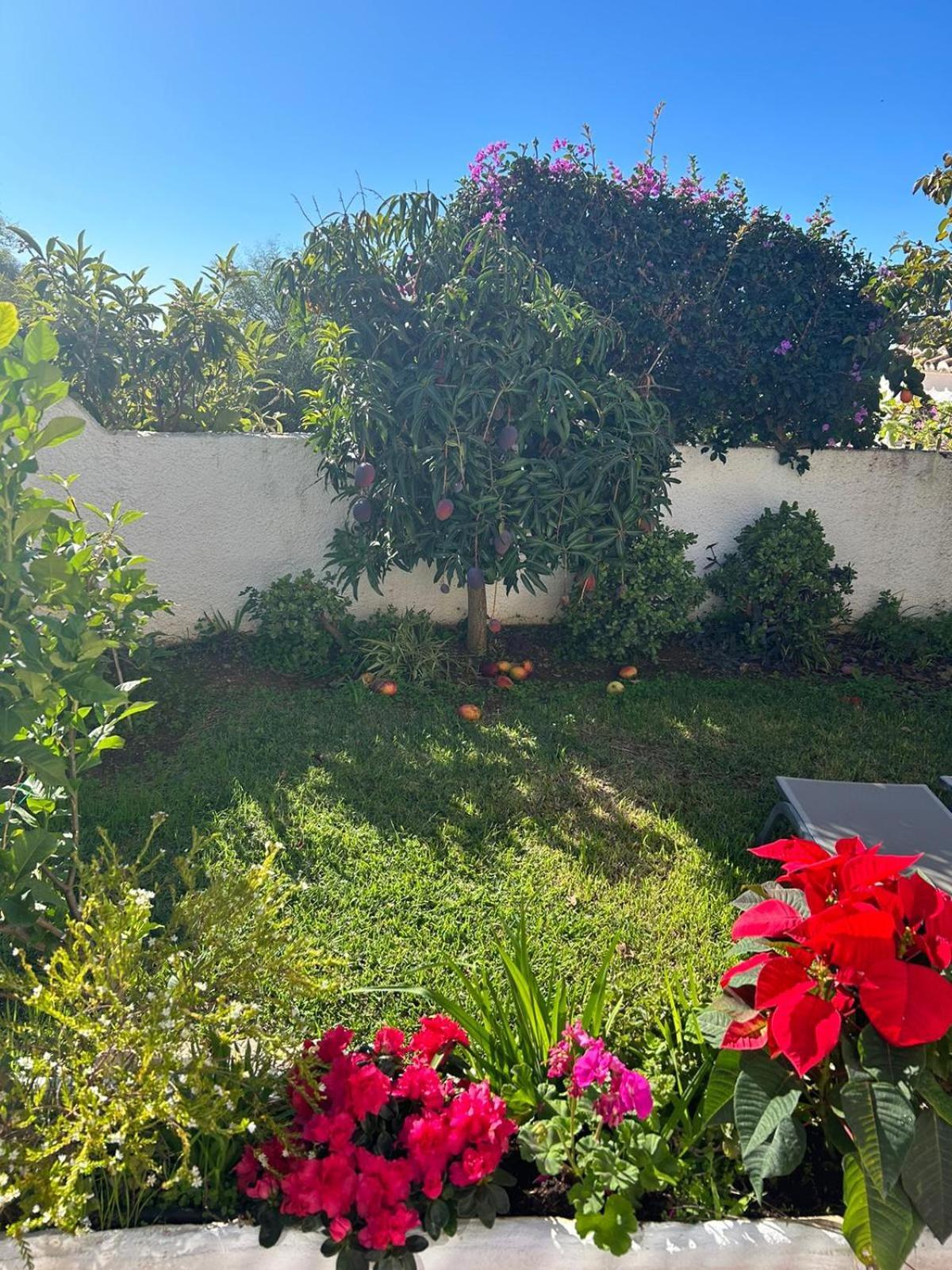 Hibisco 69 - San Juan De Capistrano