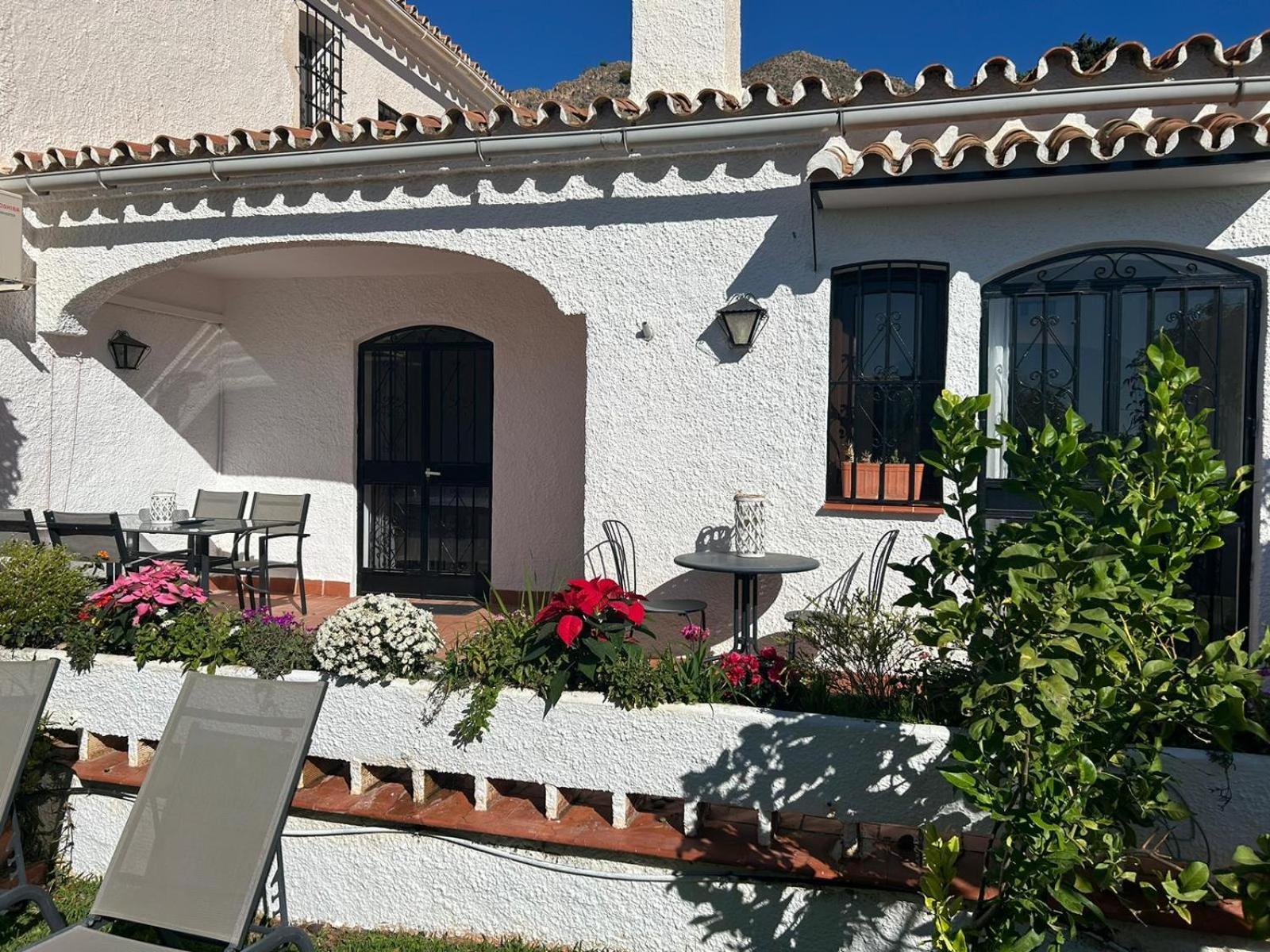Hibisco 69 - San Juan De Capistrano *