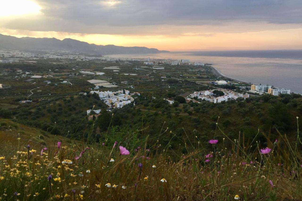 Villa Paradise - Girasoles