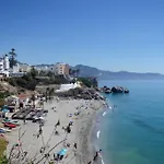 Nsf25 Palmeras, TORRECILLA, NERJA