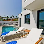 Royal Palm 36