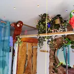 Wonder Room Paraiso Magico Habitacion