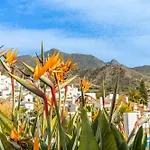 Las Palmas 4B Oasis Properties