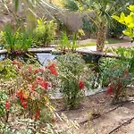 Las Palmas 4B Oasis Properties