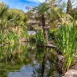 Las Palmas 4B Oasis Properties