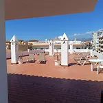 Carabeo Perla