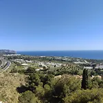 Ap417 Los Mandarinos