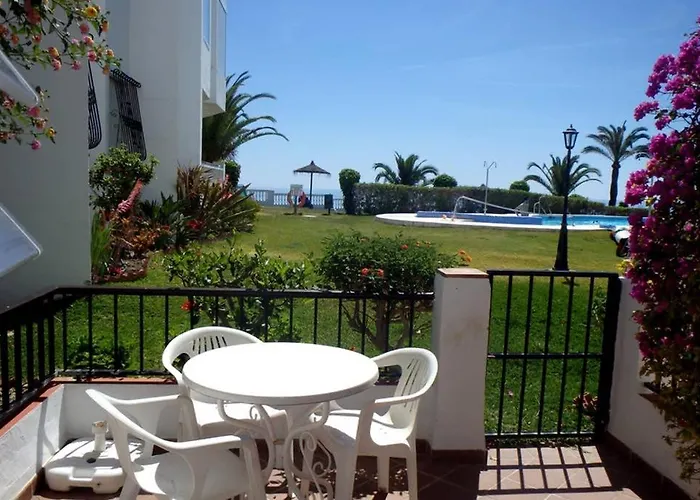 Nsf25 Palmeras, TORRECILLA, NERJA