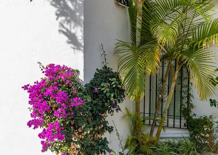 Las Palmas 17B Oasis Properties