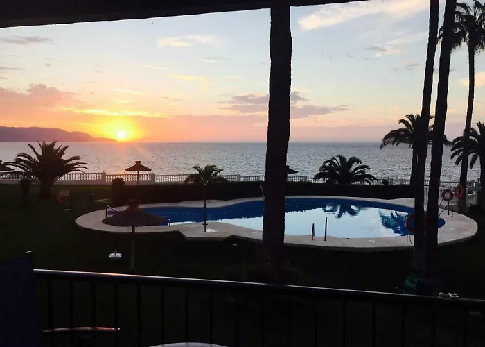 Palmeras 53 Menyber