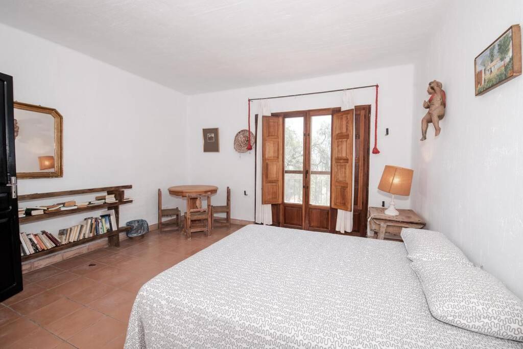 R9972 San Jose Apartamento *