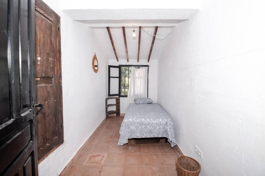 R9972 San Jose Apartamento
