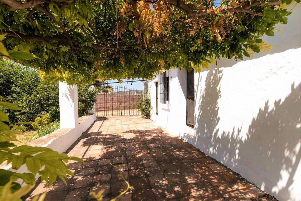 Apartamento R9972 San Jose