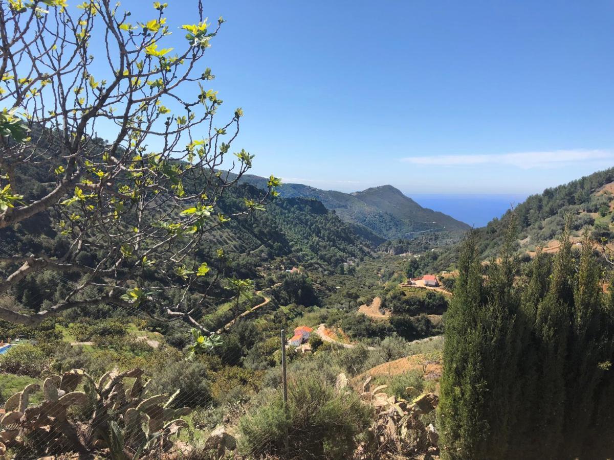 Cortijo Luque Holiday home
