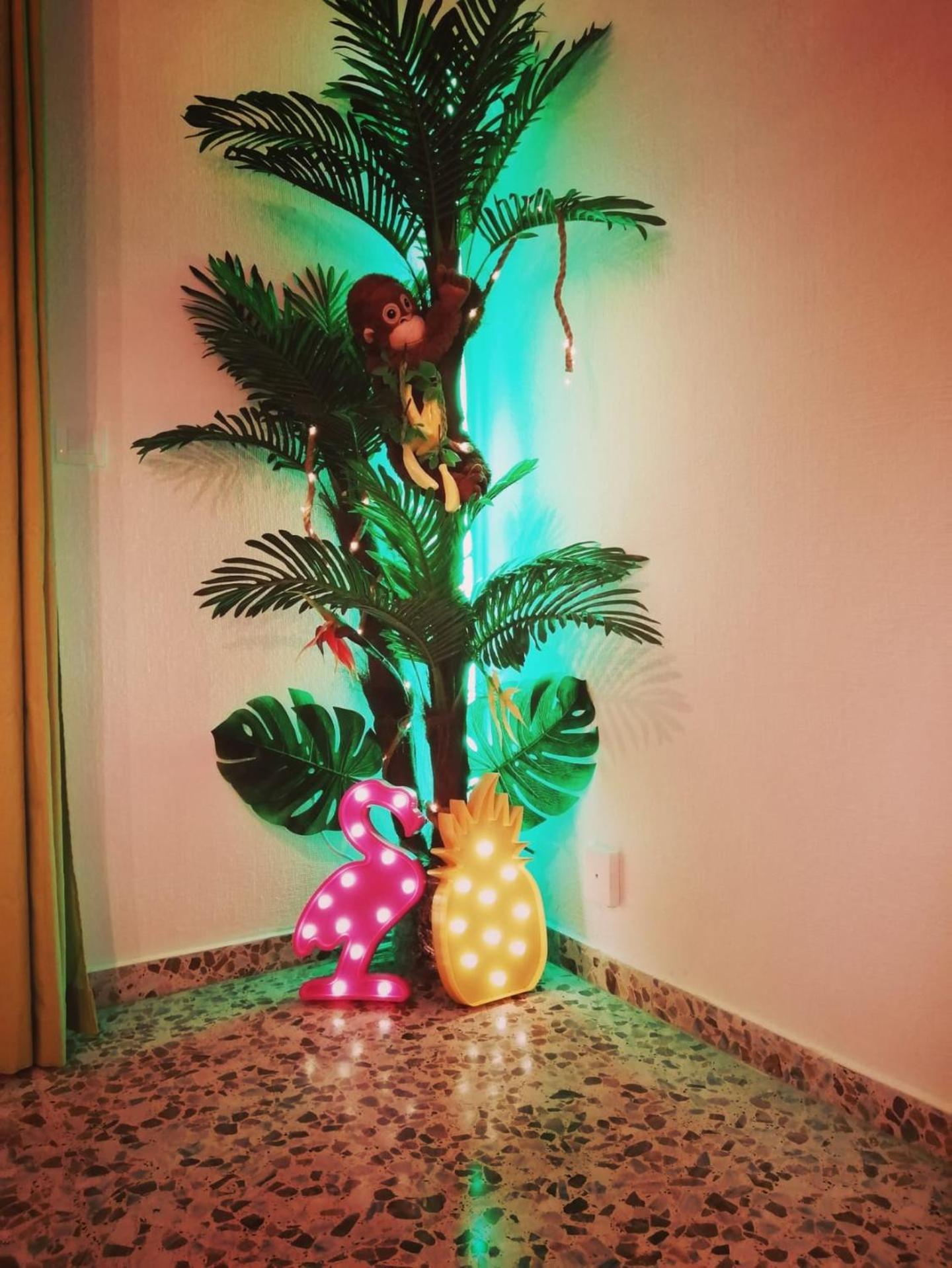 Wonder Guest house