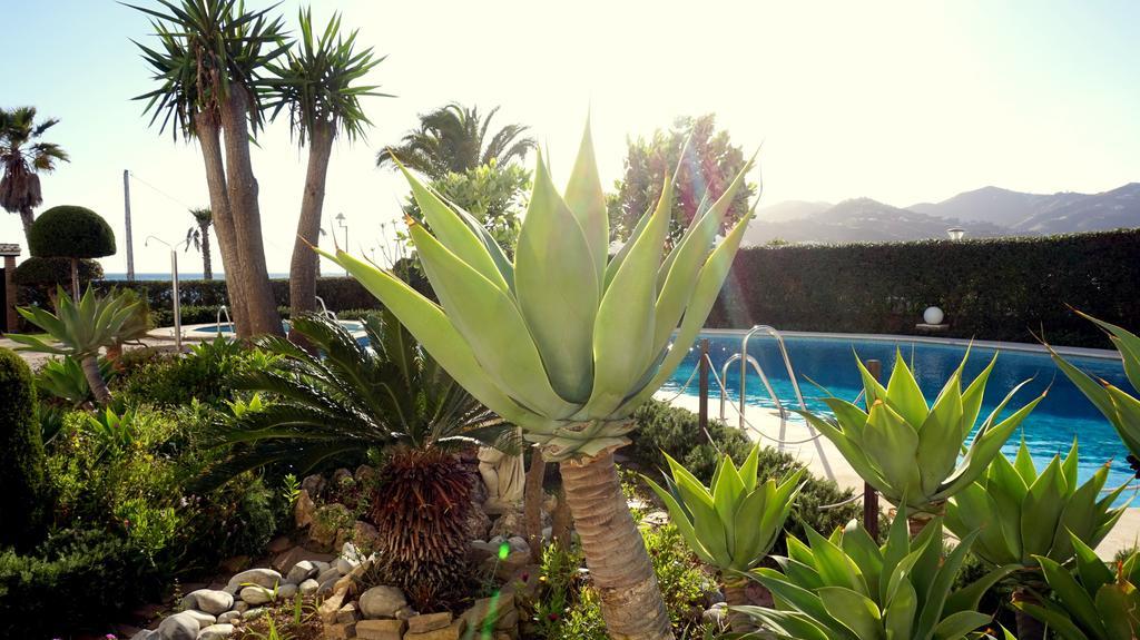 Apartamento Starnerja En Stella Maris *