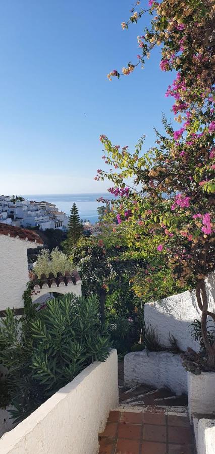 Ap339 Alhama-la Oliva * Nerja