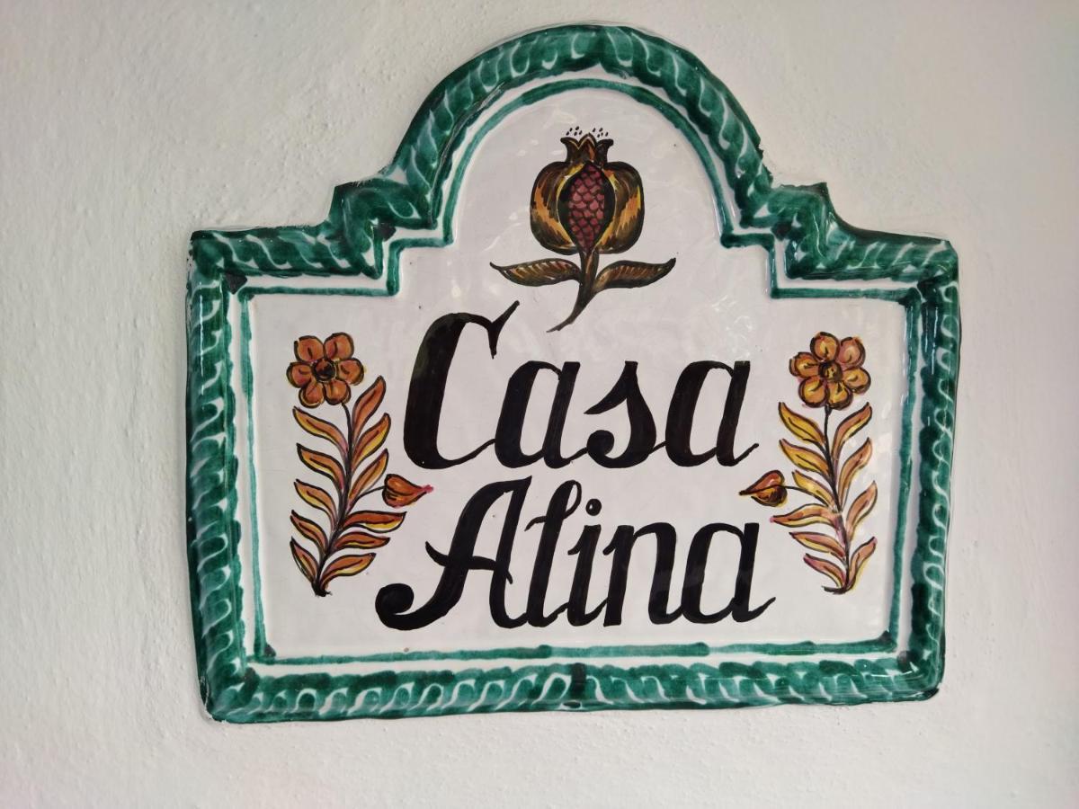 Holiday home Casa Alina *