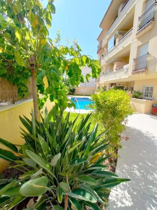 Apartamento Jimena *