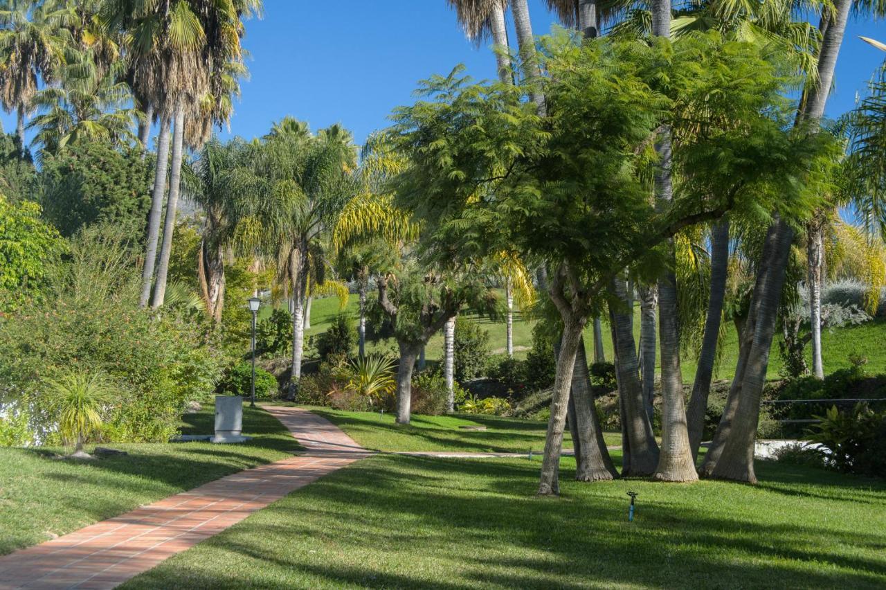 Palmas 2a Oasis *