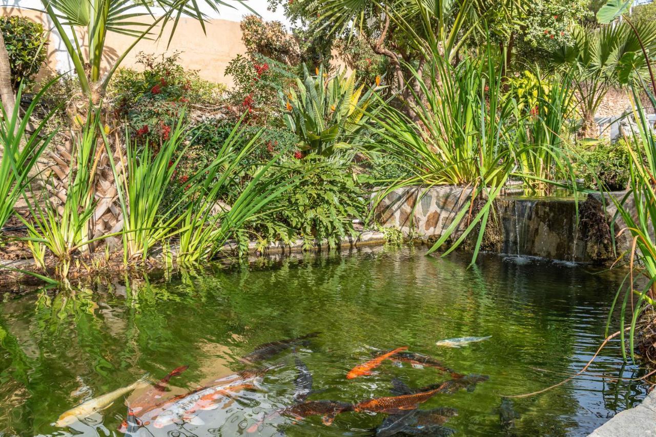 Palmas 2a Oasis Сasa de vacaciones Nerja