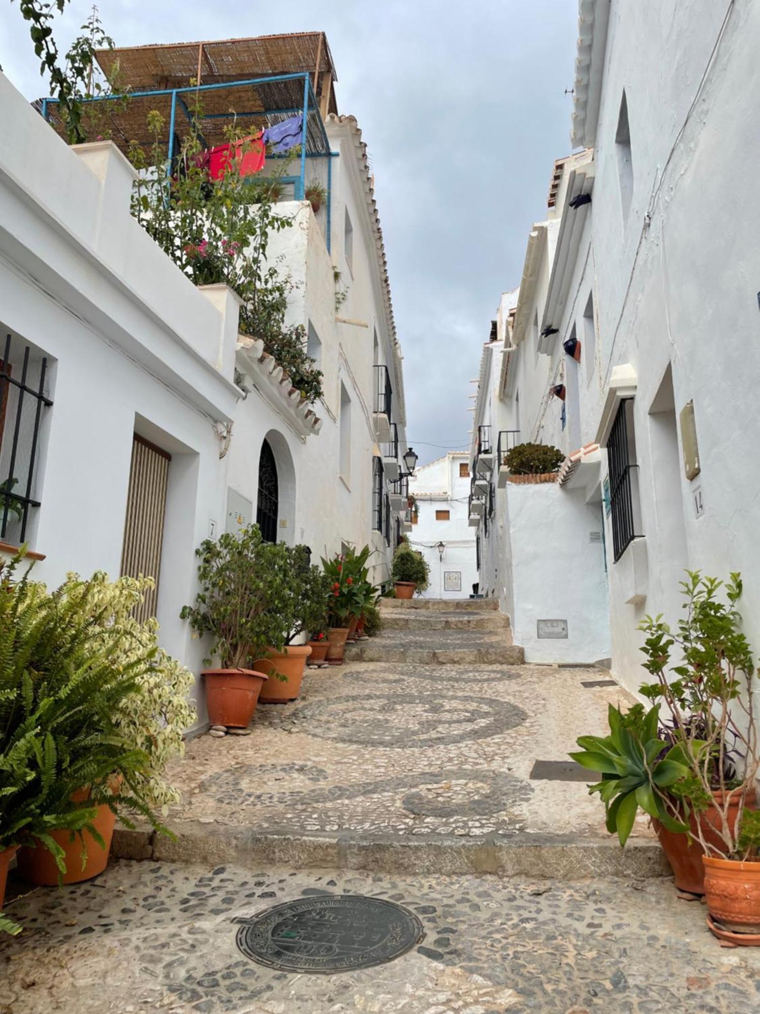 Lovely Ground Floor Apartamento Nerja