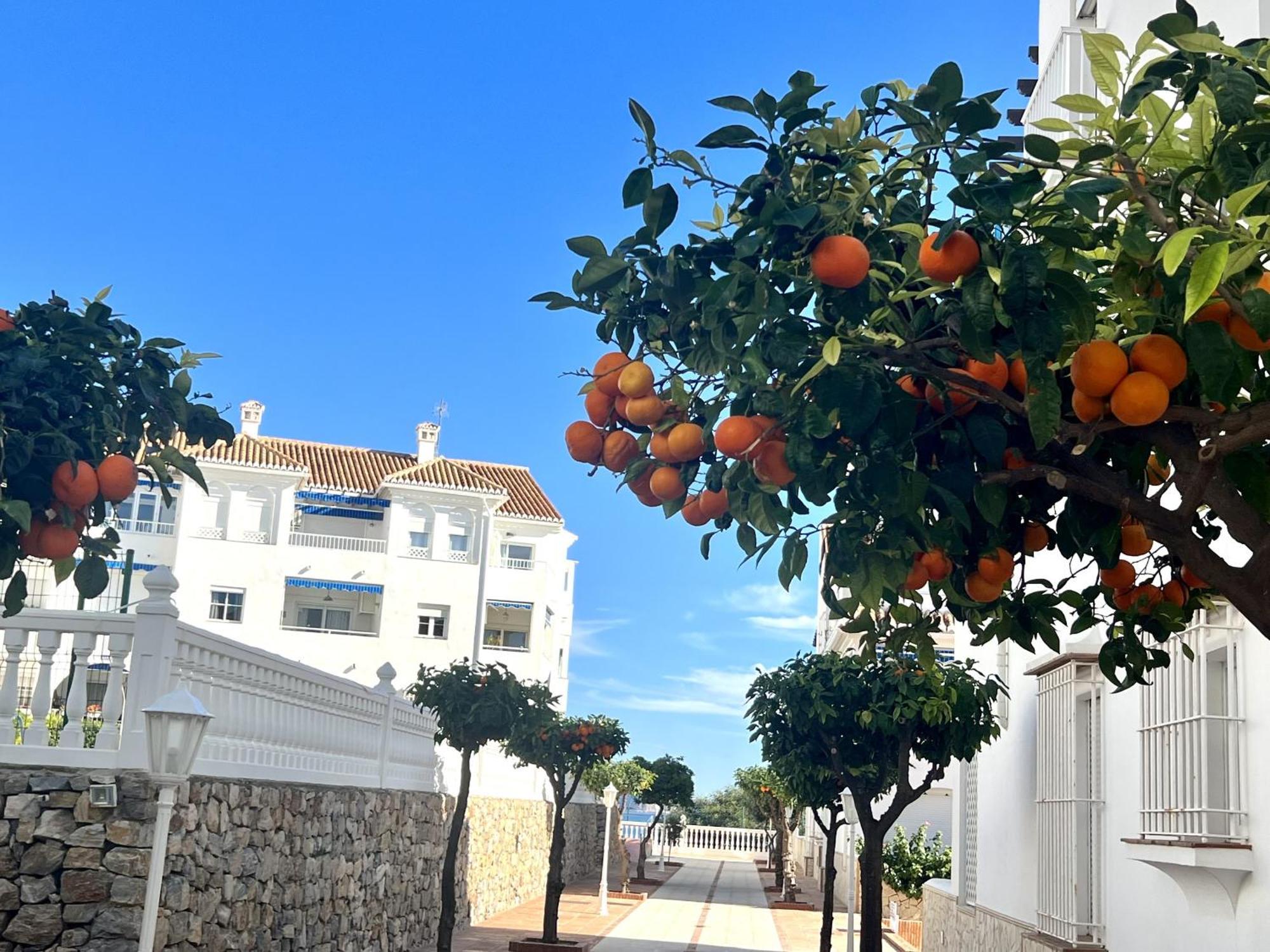Edf. Fuentes B 1ºt - Eurosur Apartamento