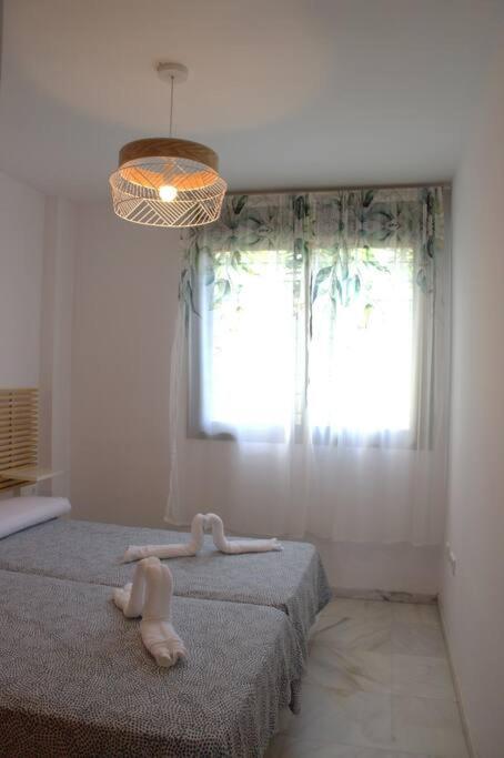 Apartamento Domus Aura *