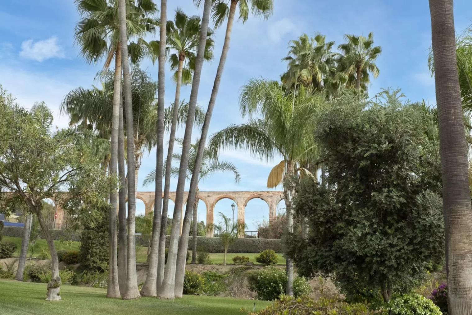 Tetuan 7 Oasis *