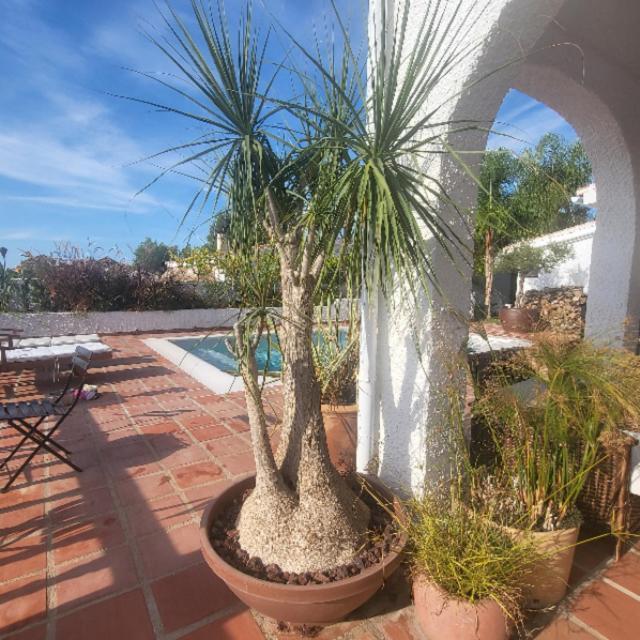 Villa Andalusian With Heated Pool