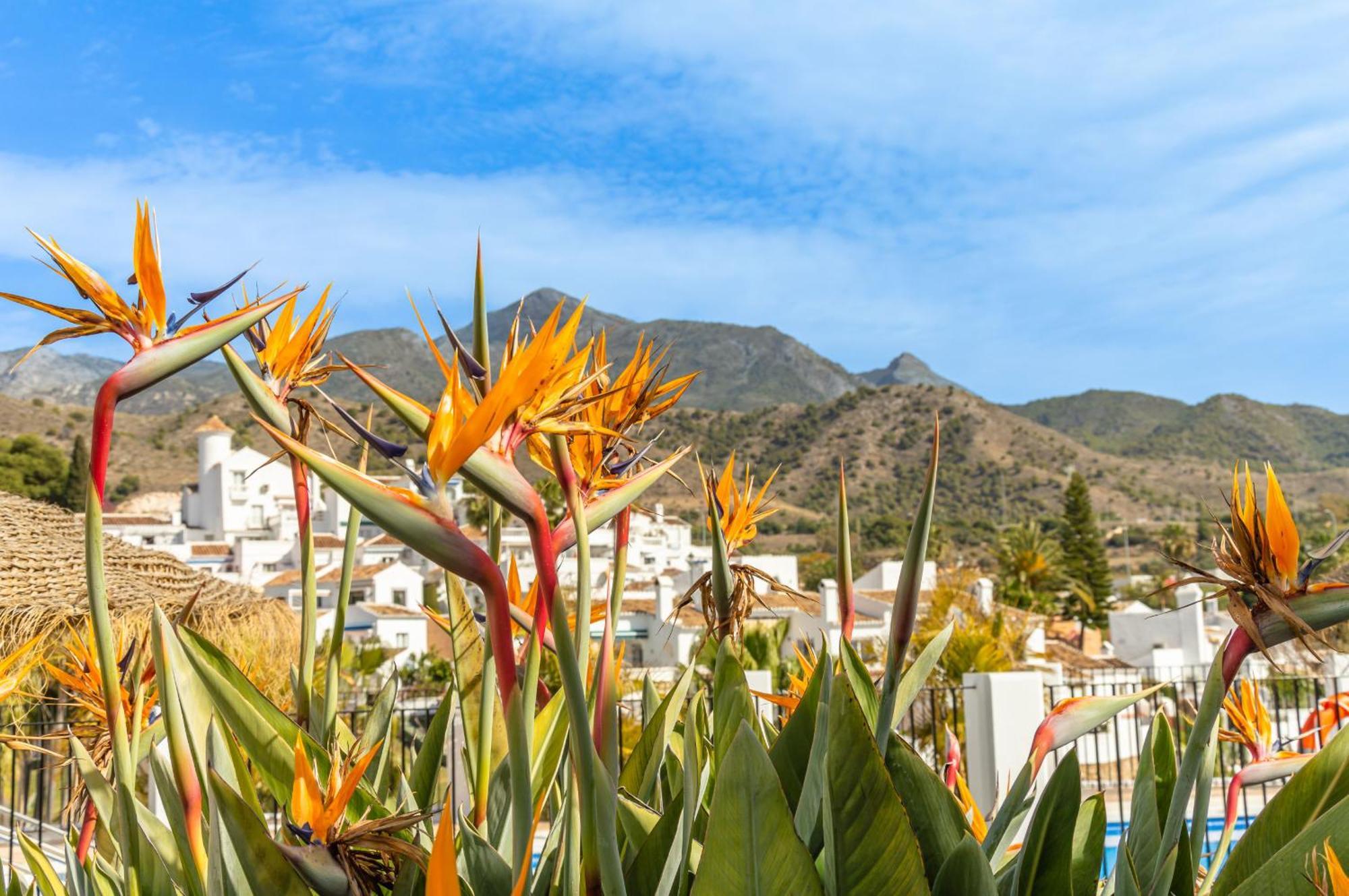 Palmas 2a Oasis Сasa de vacaciones Nerja