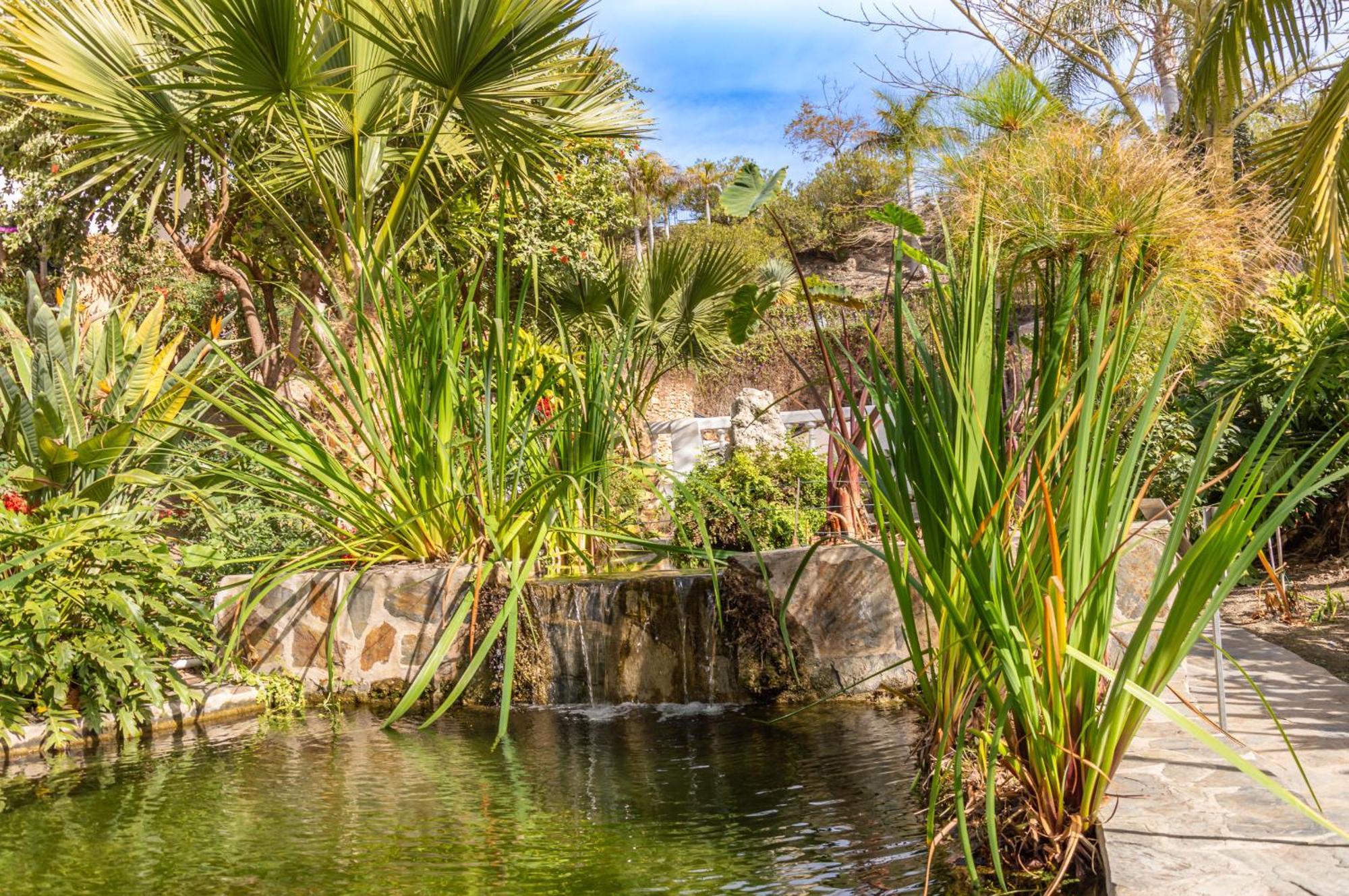 Palmas 2a Oasis Сasa de vacaciones