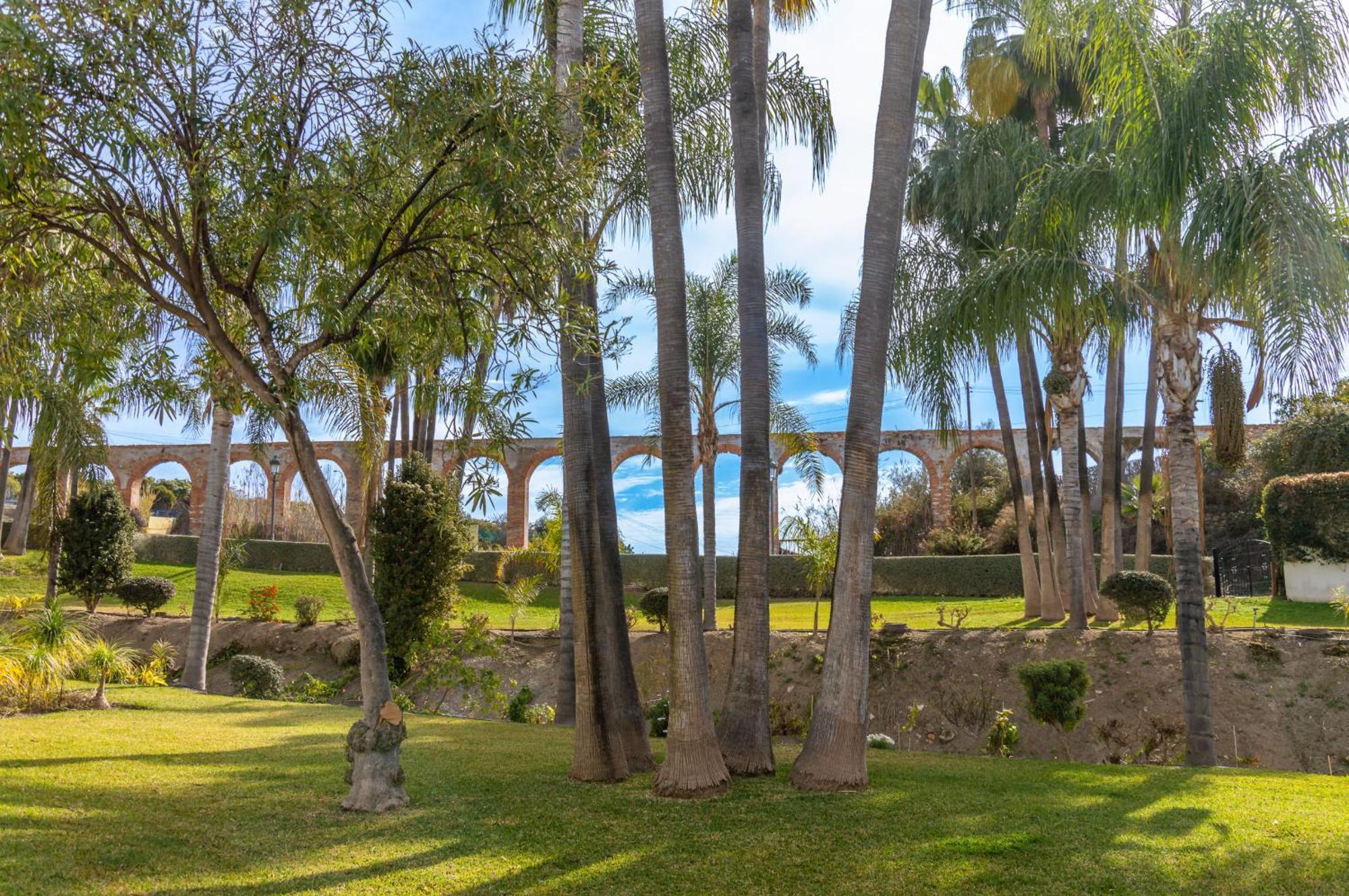 Casablanca 46 Oasis