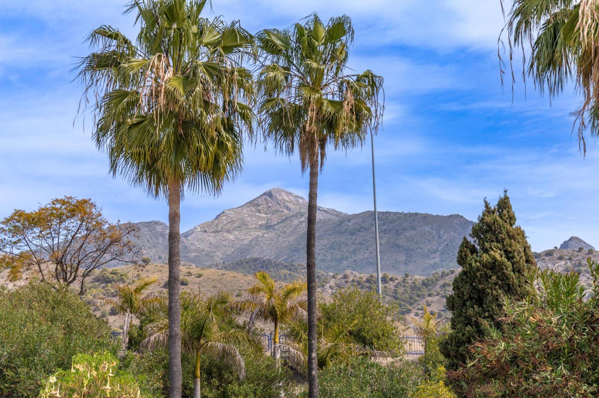 Сasa de vacaciones Palmas 2a Oasis Nerja