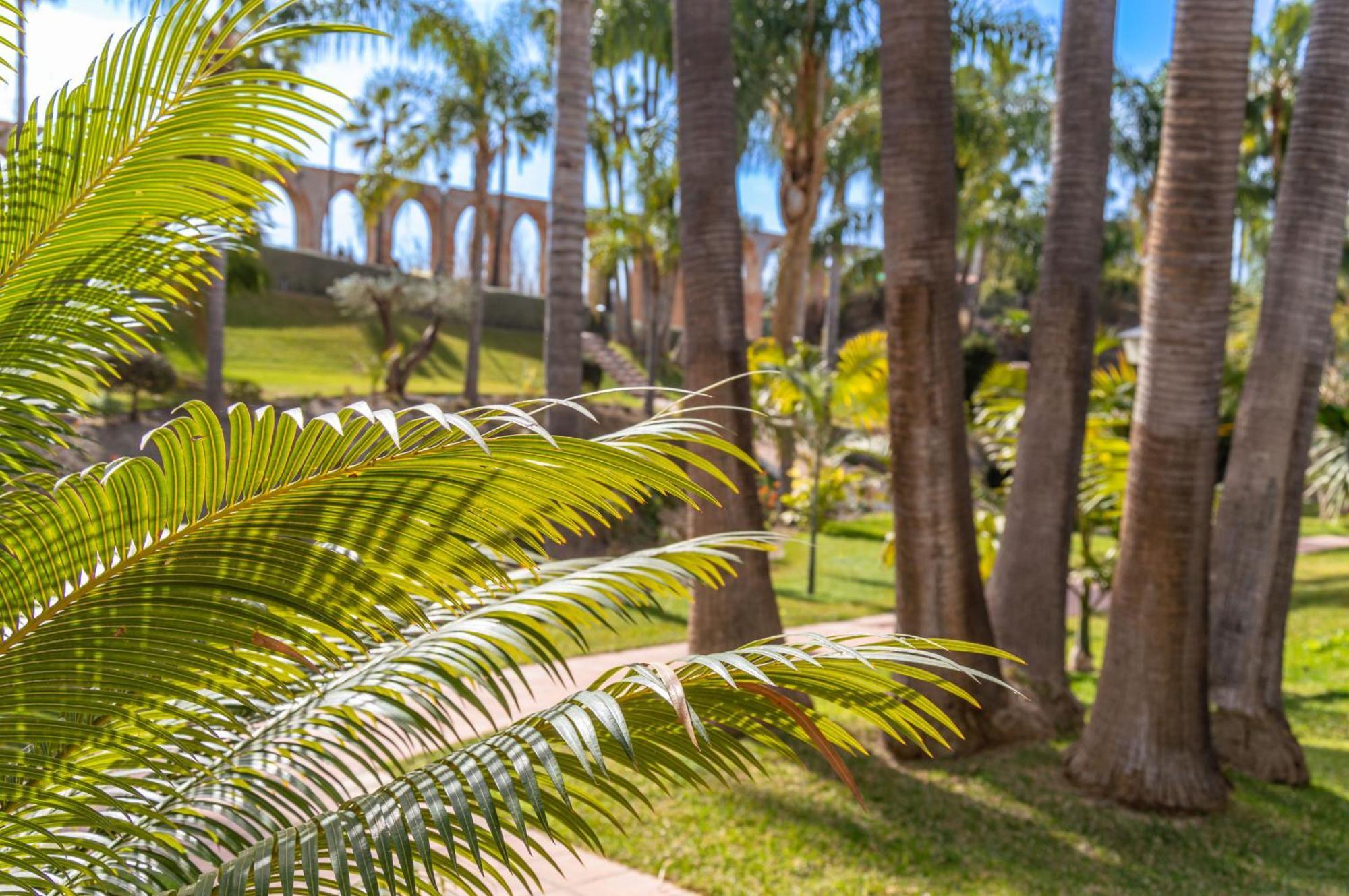Сasa de vacaciones Palmas 2a Oasis