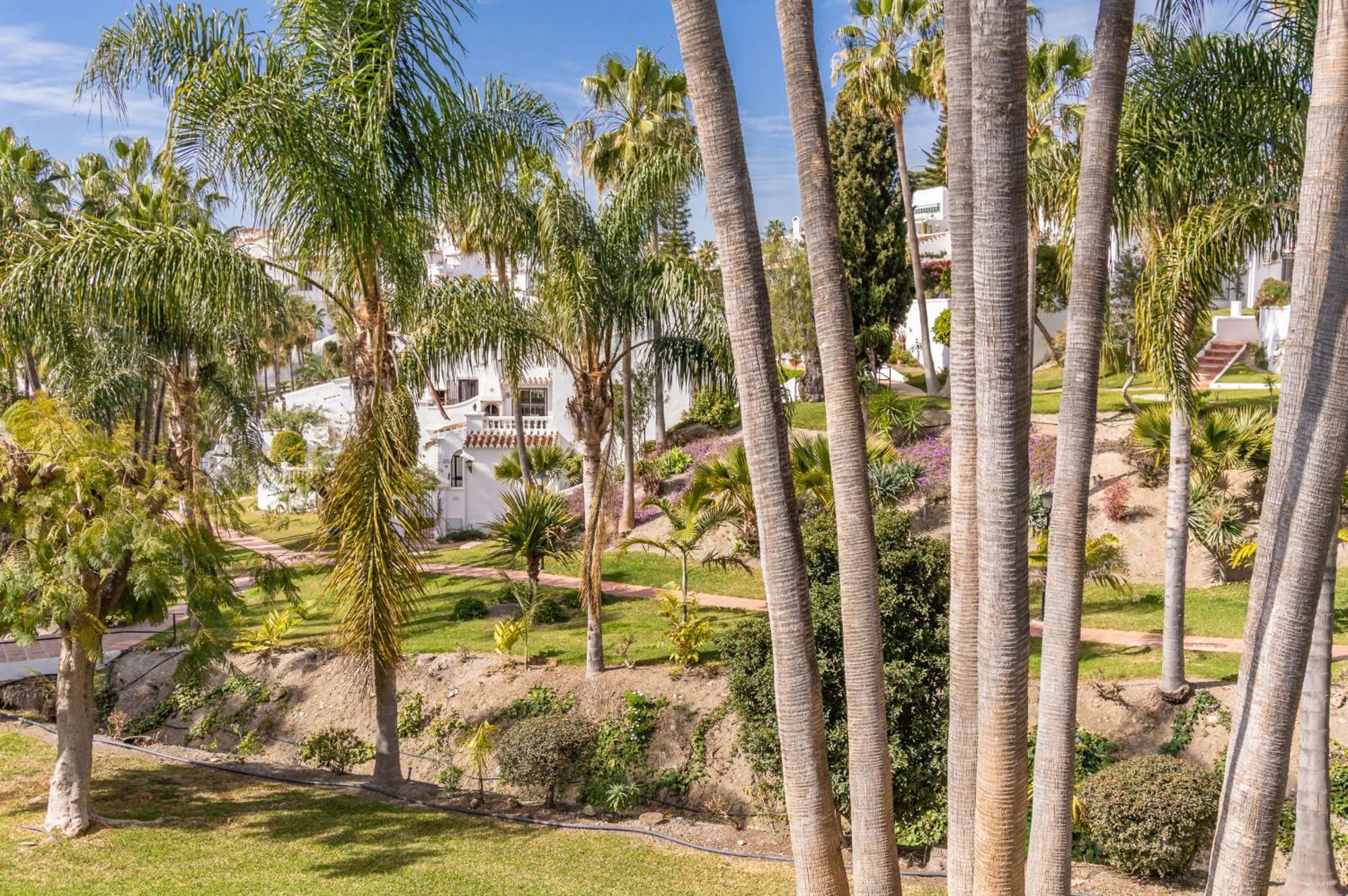 Palmas 4b Oasis