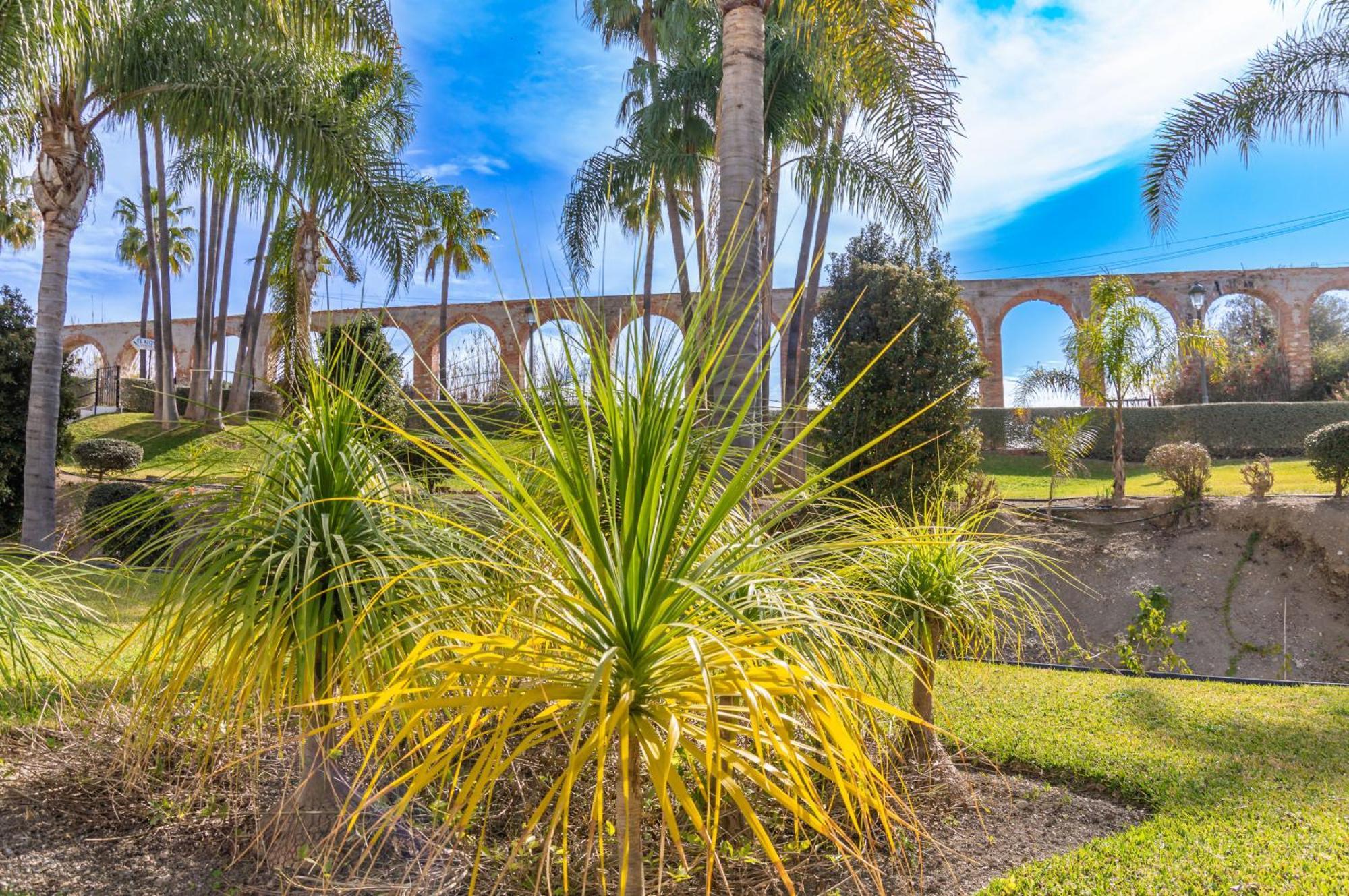 Palmas 4b Oasis