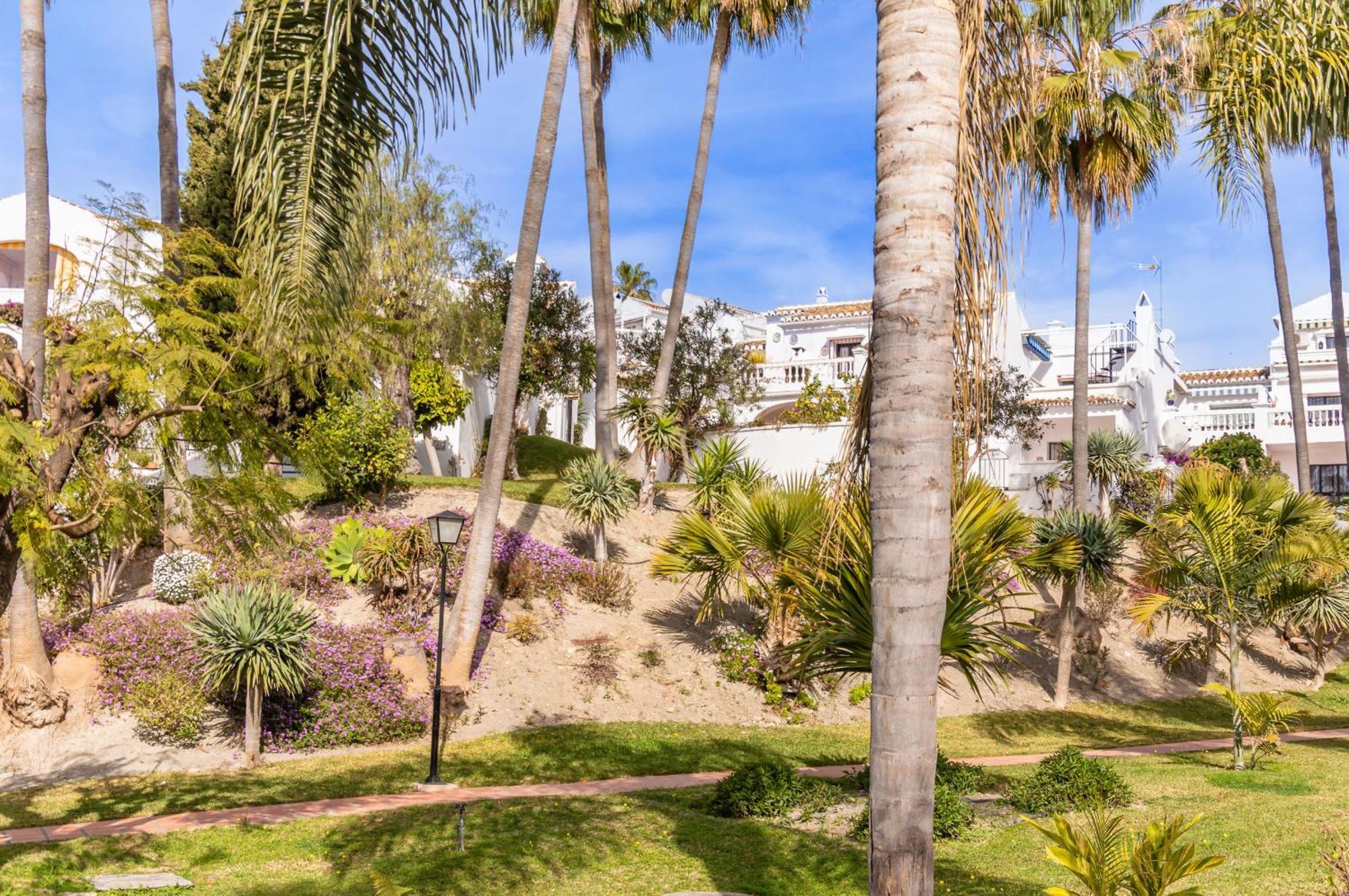 Palmas 4b Oasis Nerja