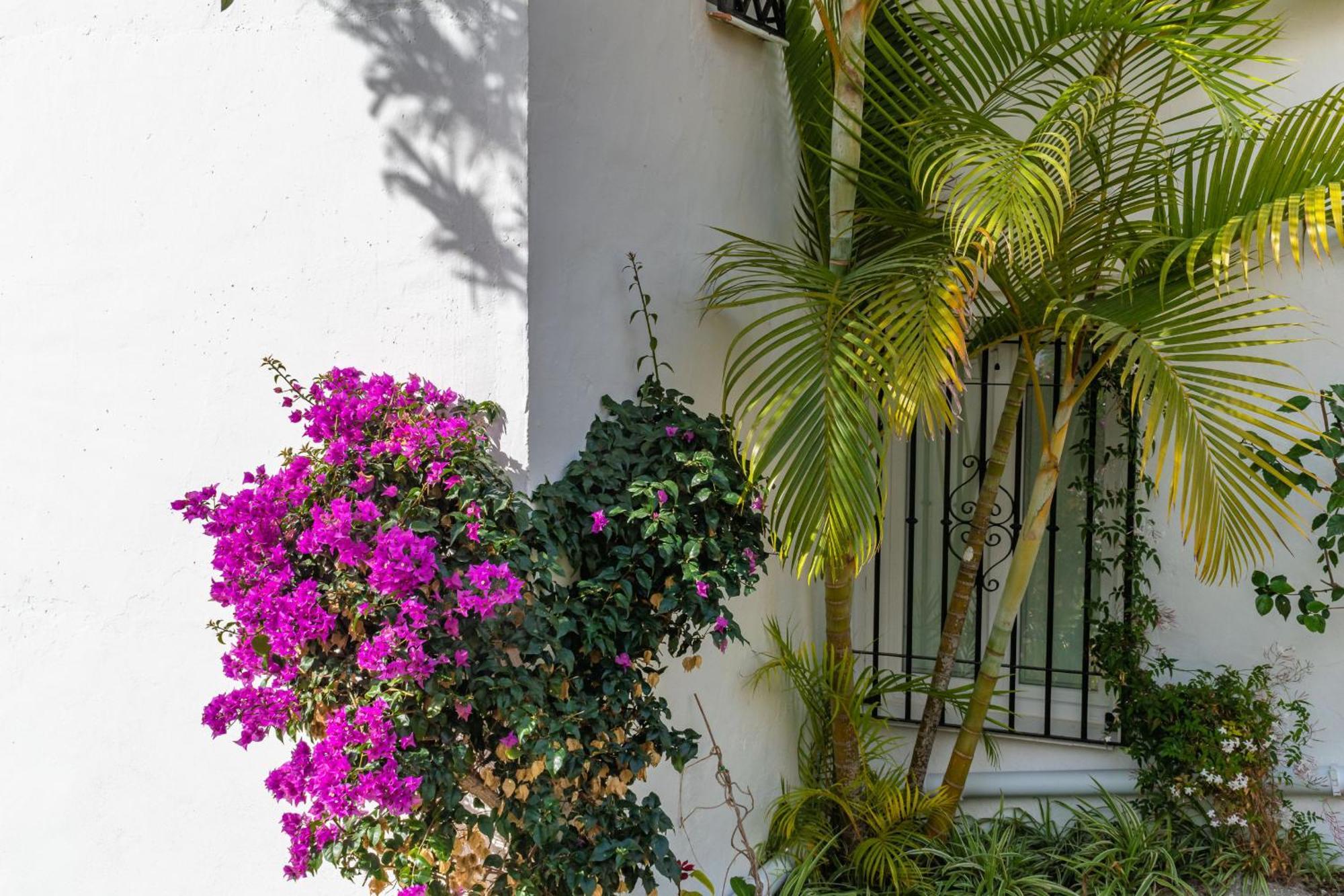Apartamento Palmas 17b Oasis *