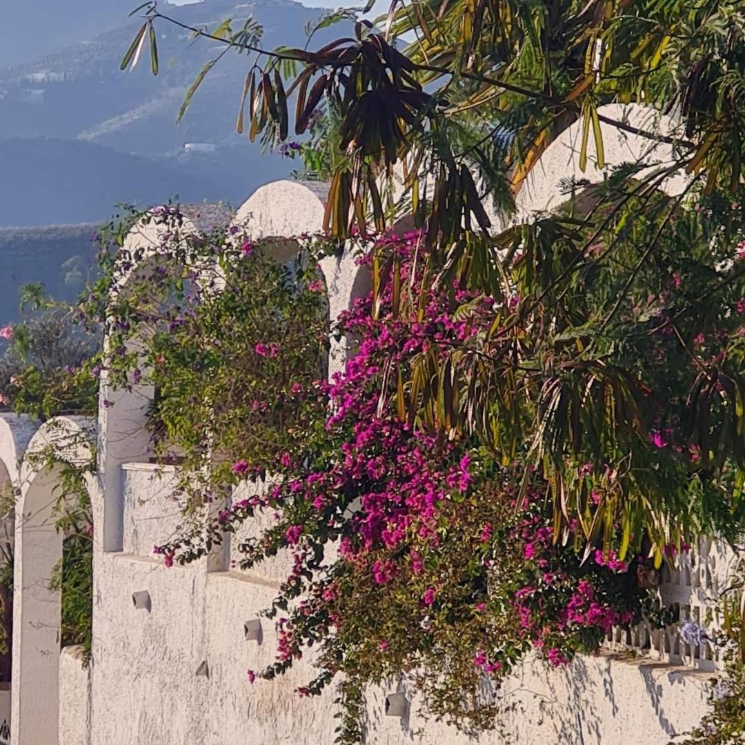 Casa Jazmin Nerja