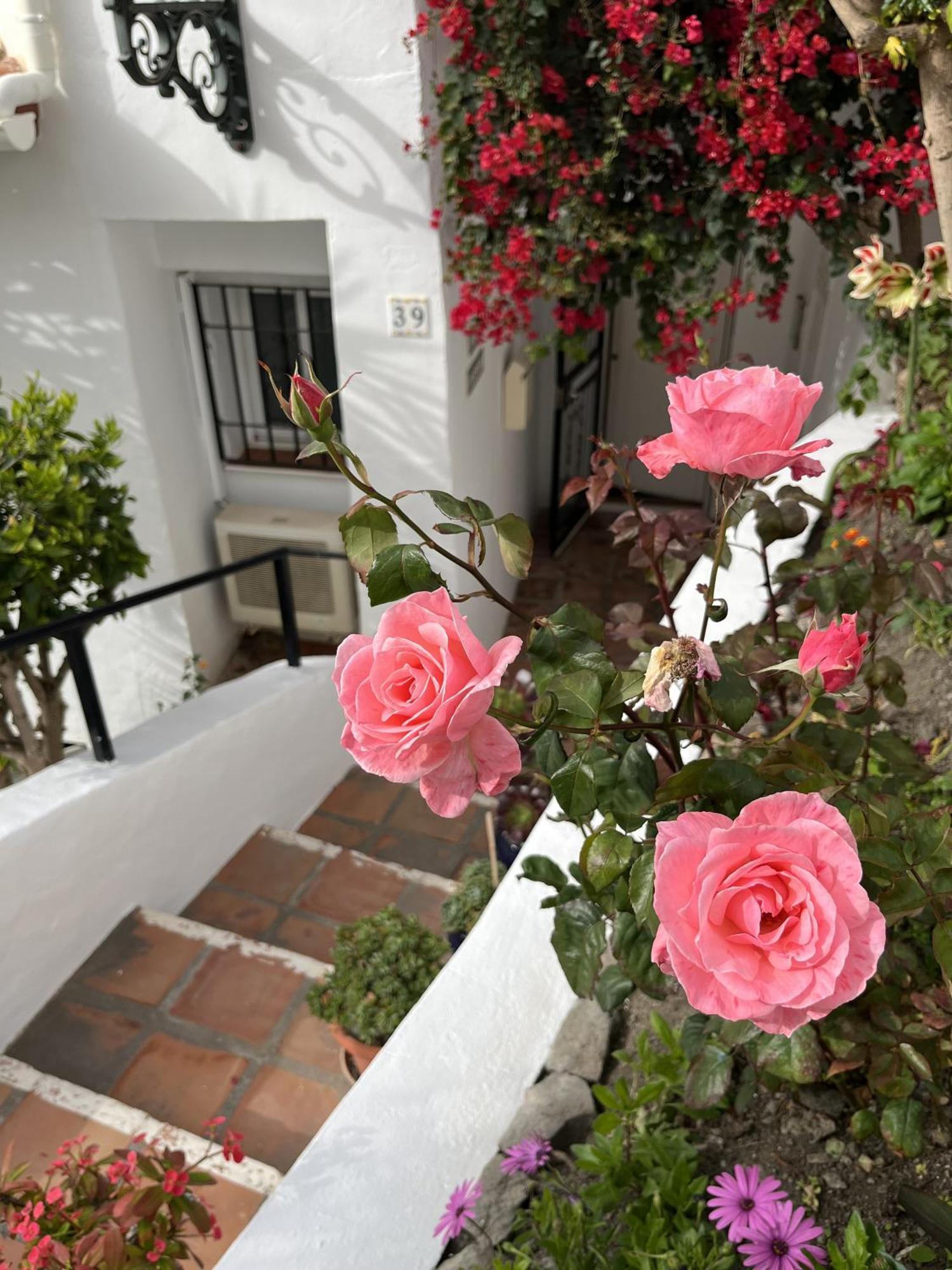 Casa Ladera Del Mar Сasa de vacaciones *