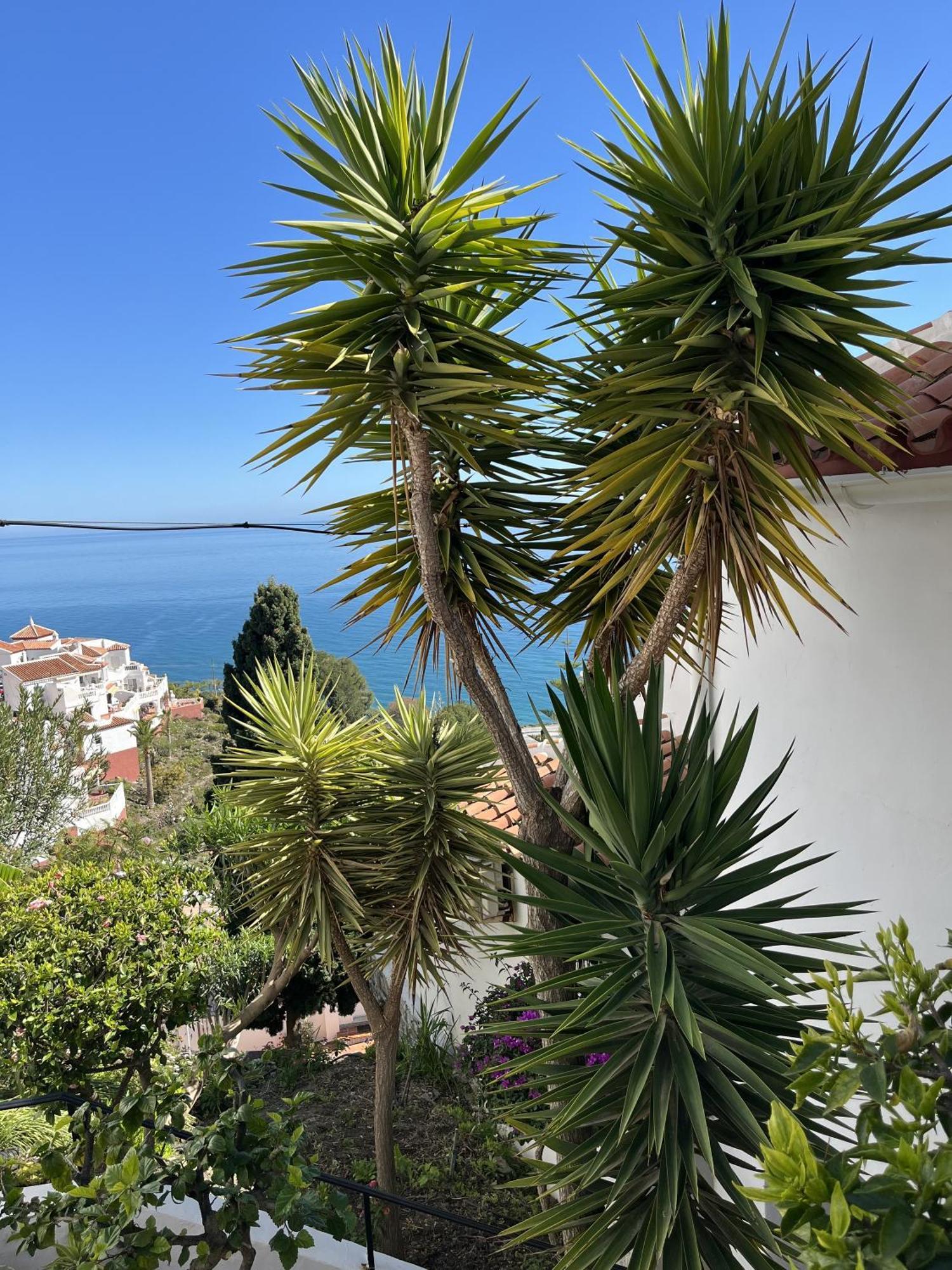 Casa Ladera Del Mar *