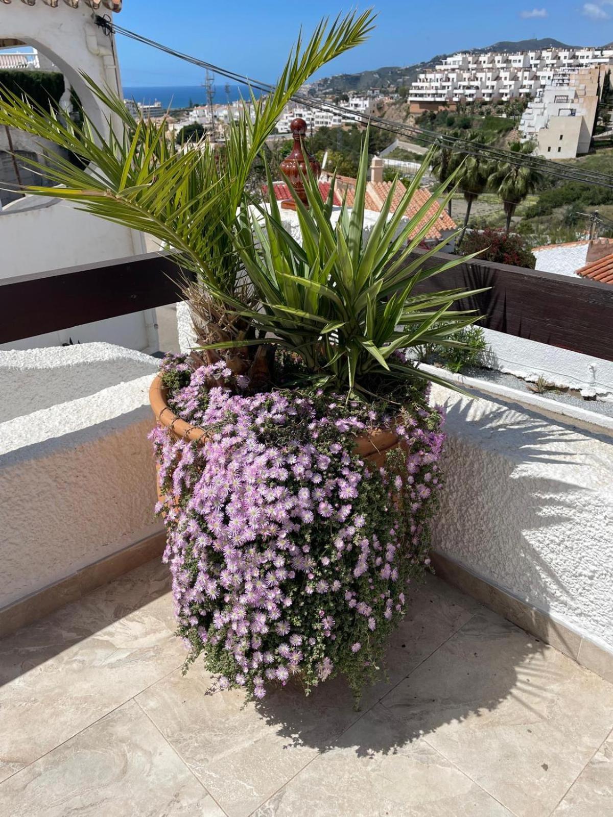 Holiday home Naricha 1 Menyber