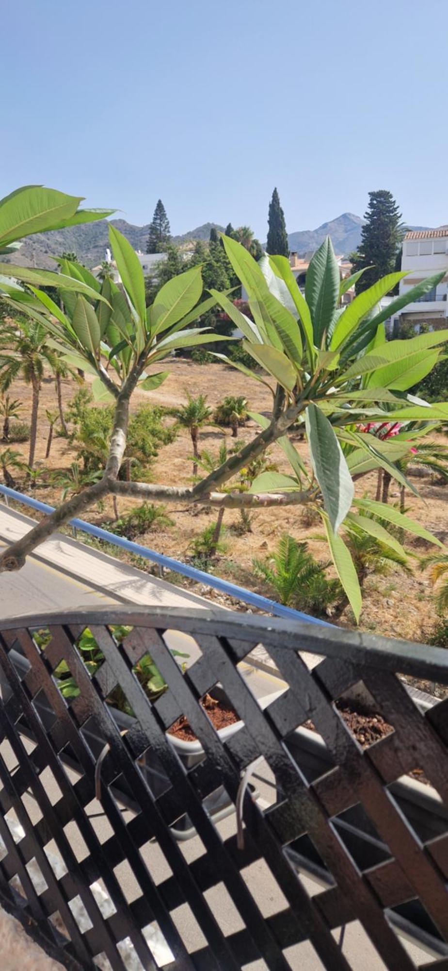 Apartment Verano Azul 36