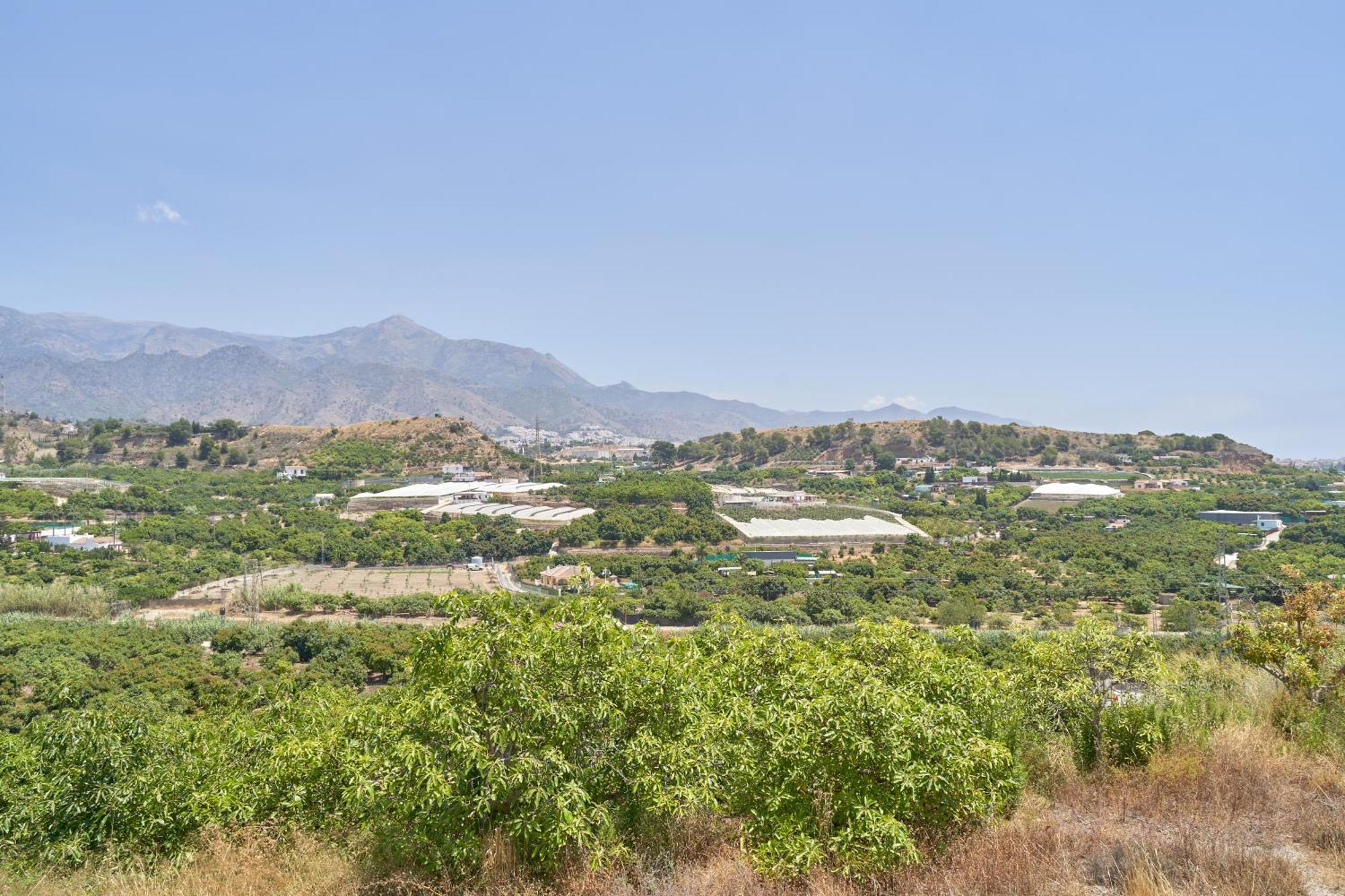 Angeles Nerja
