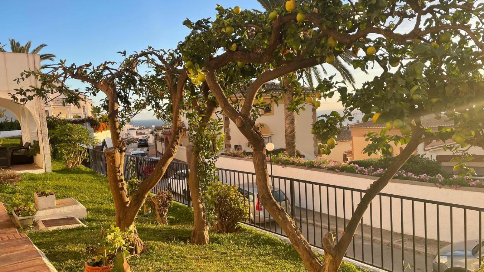 Casa Calma * Nerja