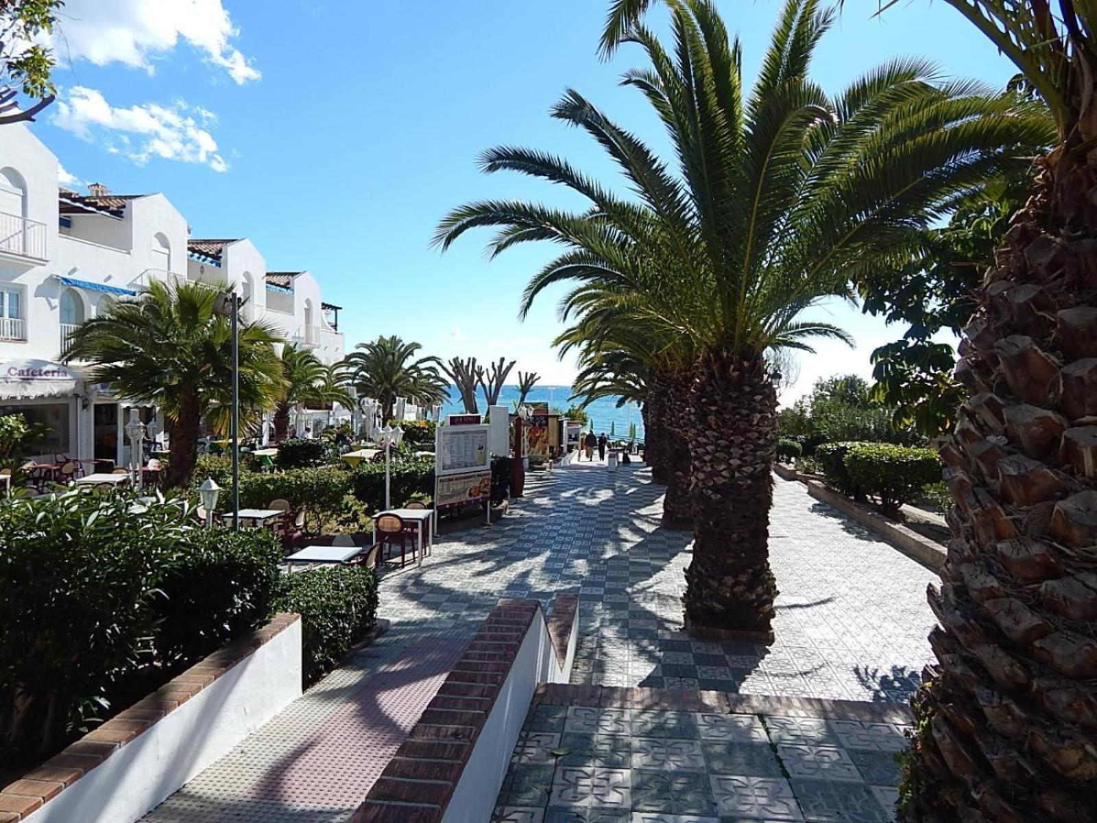 Albaida 2 6h Apartamento *