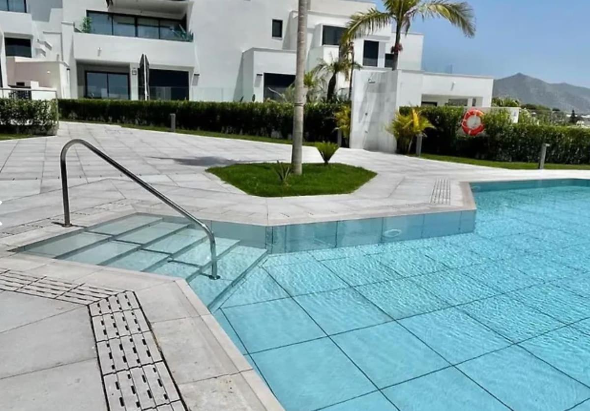 Sb Royal Palm 20