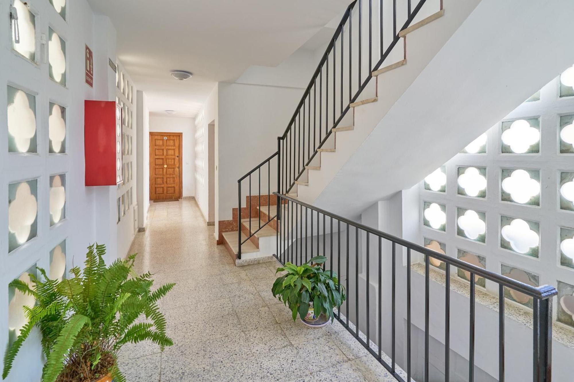 Apartmento Calle Antonio Millon Apartment